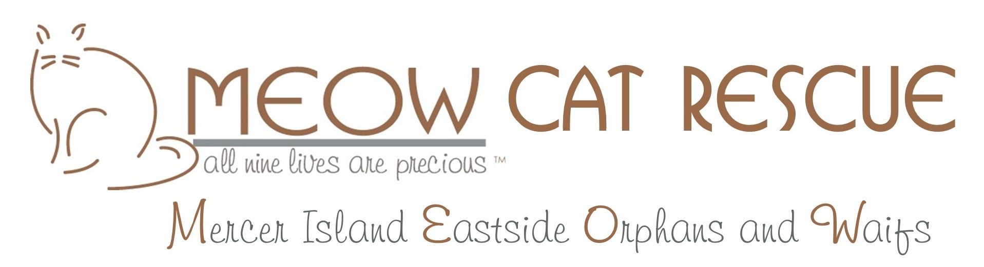 Home - MEOW Cat Rescue