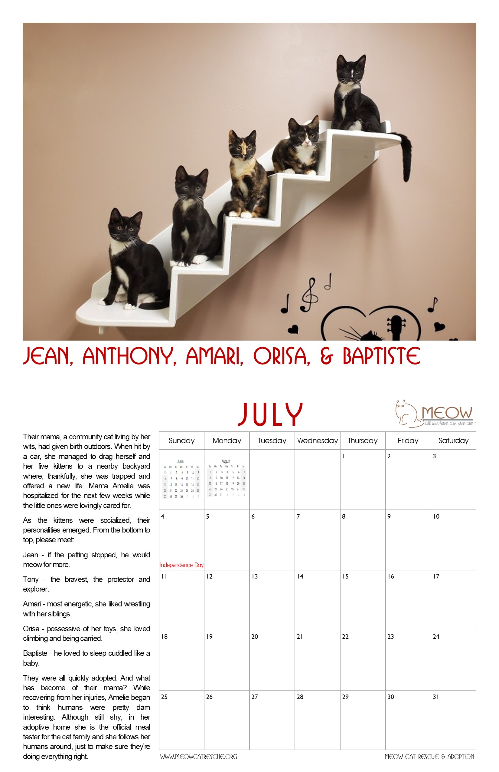 Calendar MEOW Cat Rescue