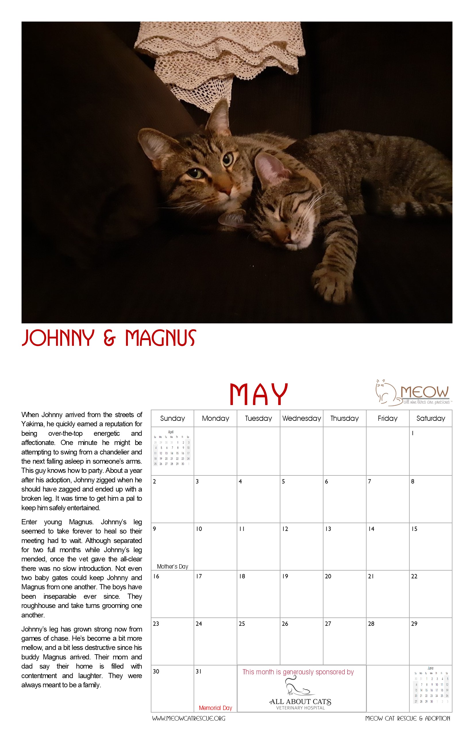Calendar MEOW Cat Rescue